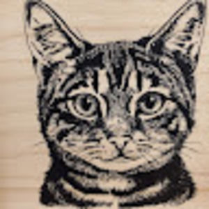 Meet your Posher, Kitty